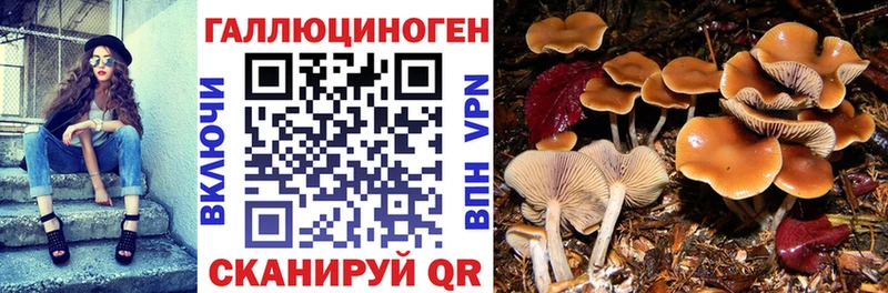 Галлюциногенные грибы GOLDEN TEACHER Ленинск-Кузнецкий