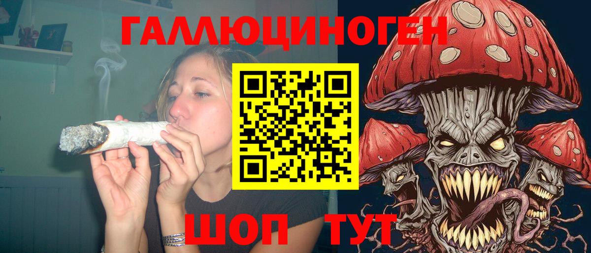 Галлюциногенные грибы Cubensis Ленинск-Кузнецкий