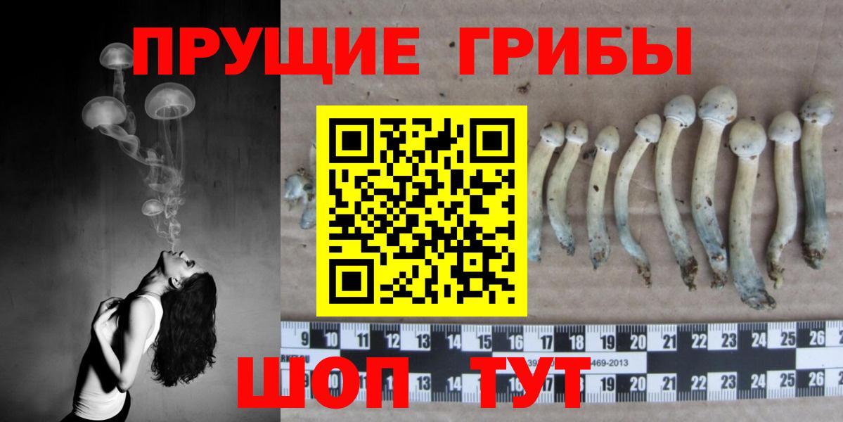 Галлюциногенные грибы прущие грибы  Вход с VPN  Псилоцибиновые грибы Cubensis  Ленинск-Кузнецкий 