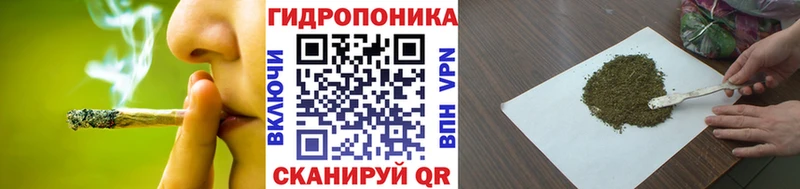 Шишки марихуана конопля  кракен   Ленинск-Кузнецкий  купить наркотик 